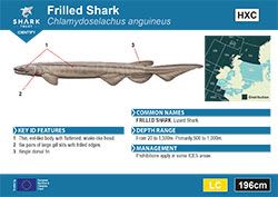 Frilled Shark Pocket Guide (pdf)