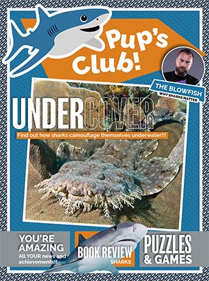 Cover of Shark Focus Magazine #63 (Pups Club)