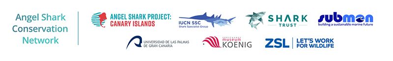 Angel Shark Conservation Network Logos