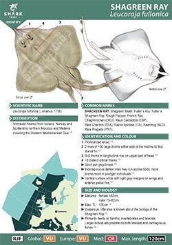 Shagreen Ray ID Guide (pdf)