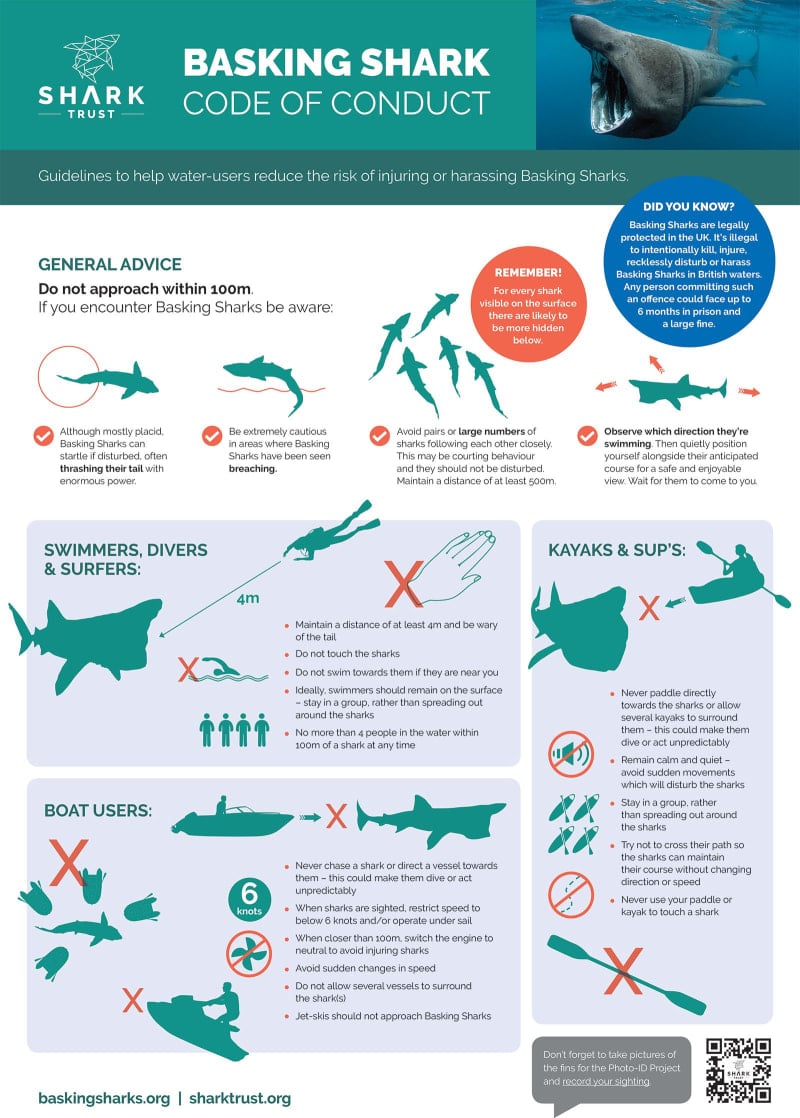 Basking Shark Code of Conduct (pdf)