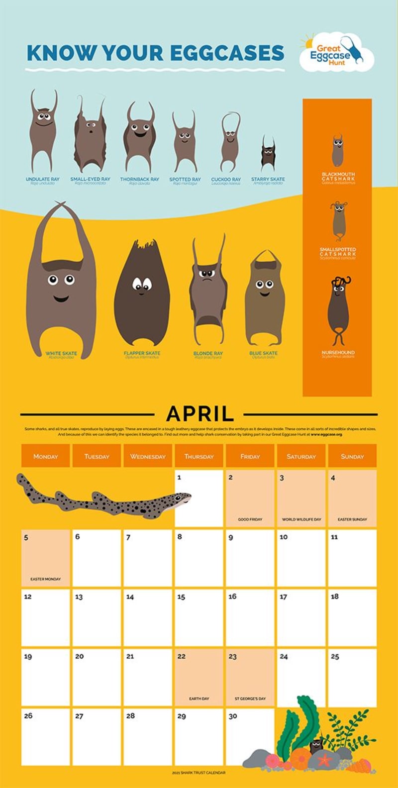 Love Sharks 2021 Calendar - April Calendar Page