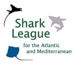 Shark League Logo