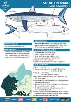Shortfin Mako ID Guide (pdf)