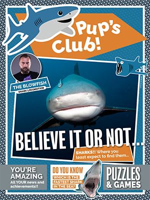 Cover of Shark Focus Magazine #64 (Pups Club)