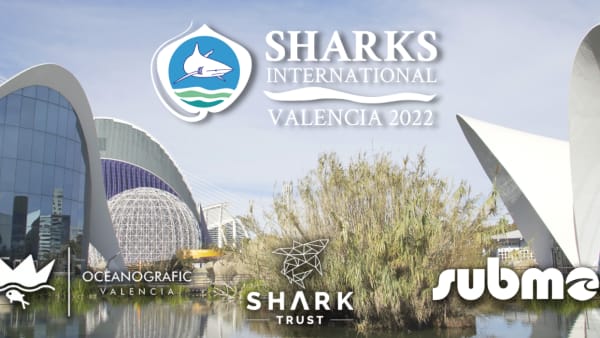 Shark Trust to host 2022 Sharks International Conference