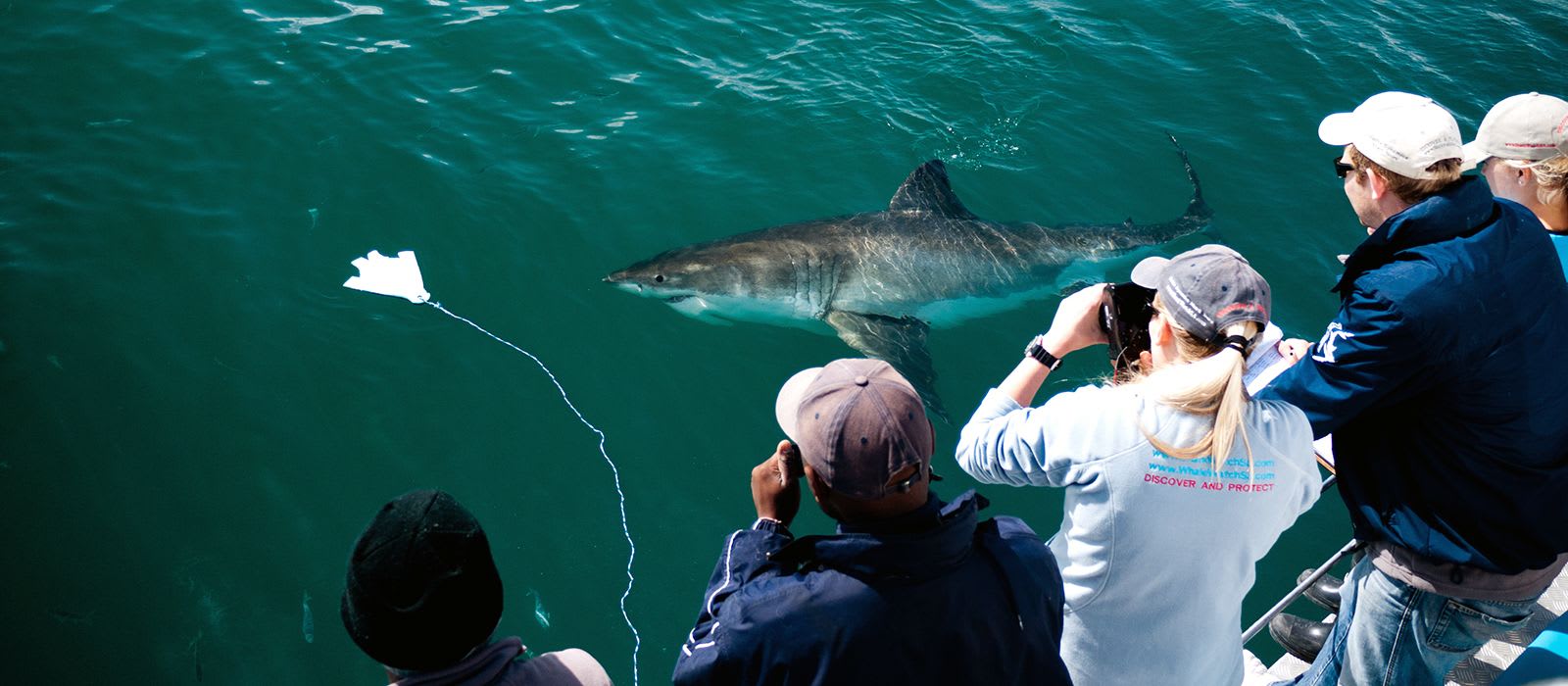 Boat Tours