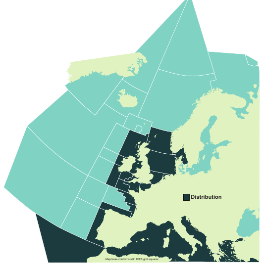 Map of the known distribution of the Atlantic Torpedo Ray