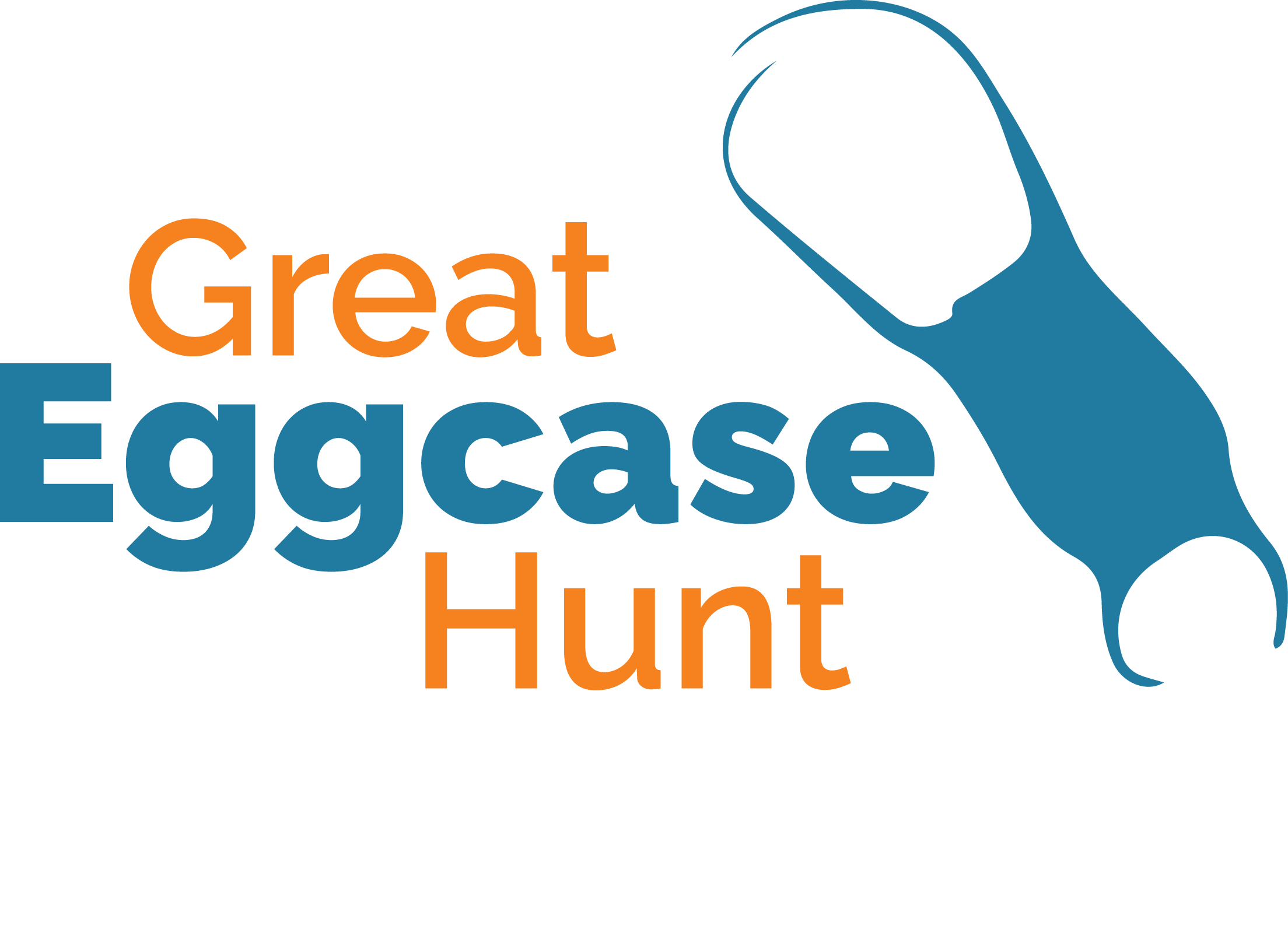 Great Eggcase Hunt