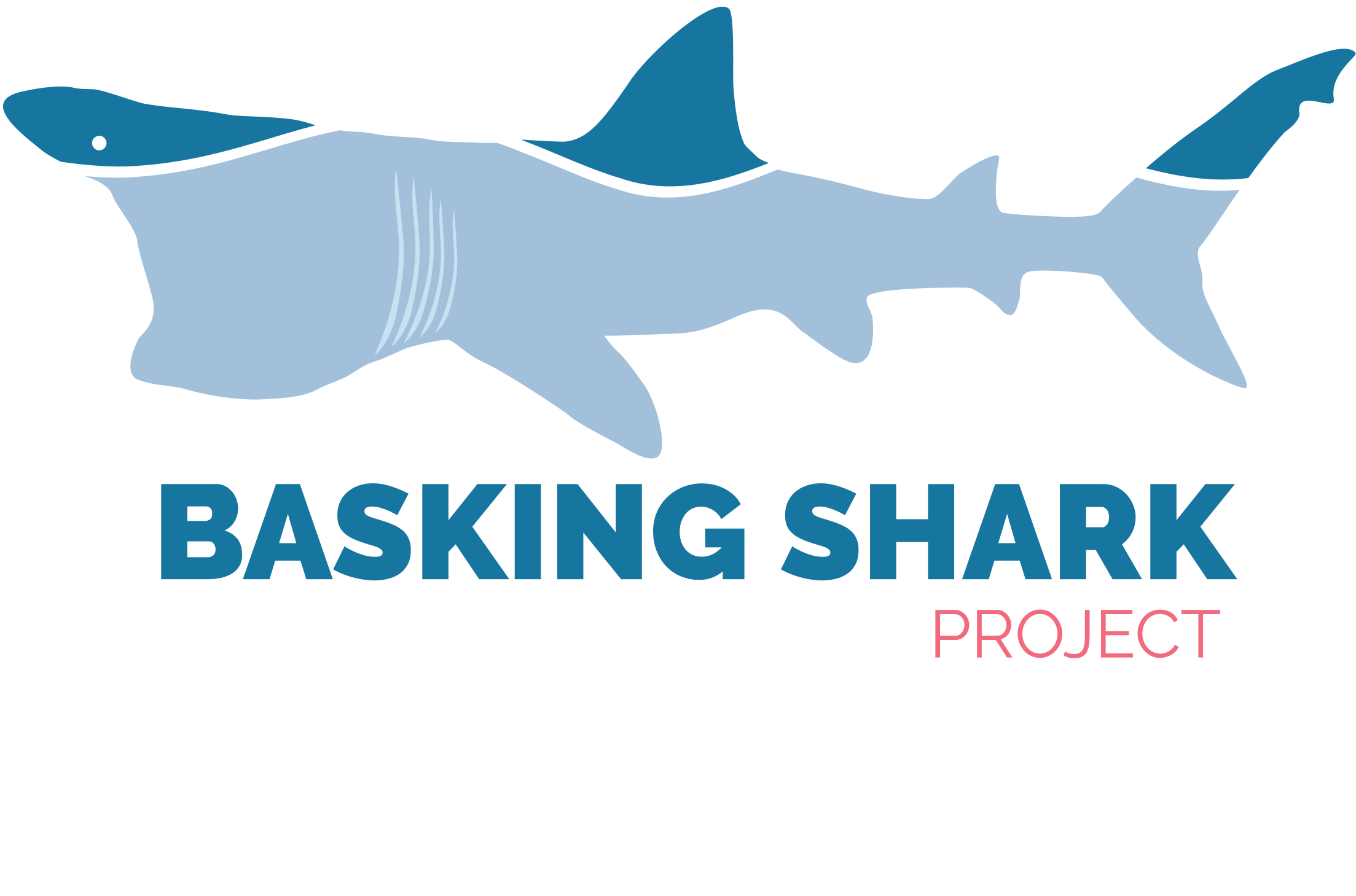Basking Shark Project
