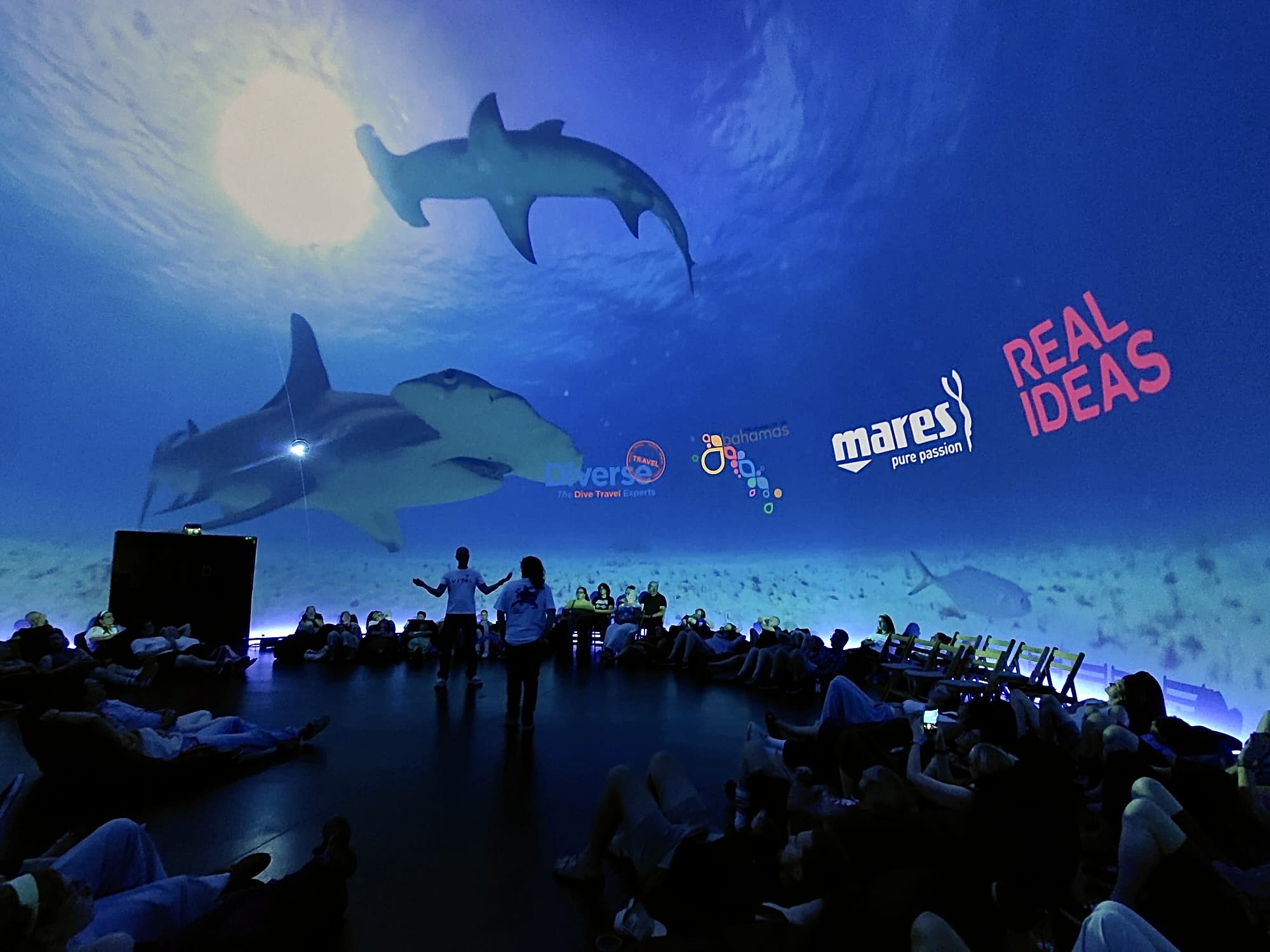 360 Shark Live!