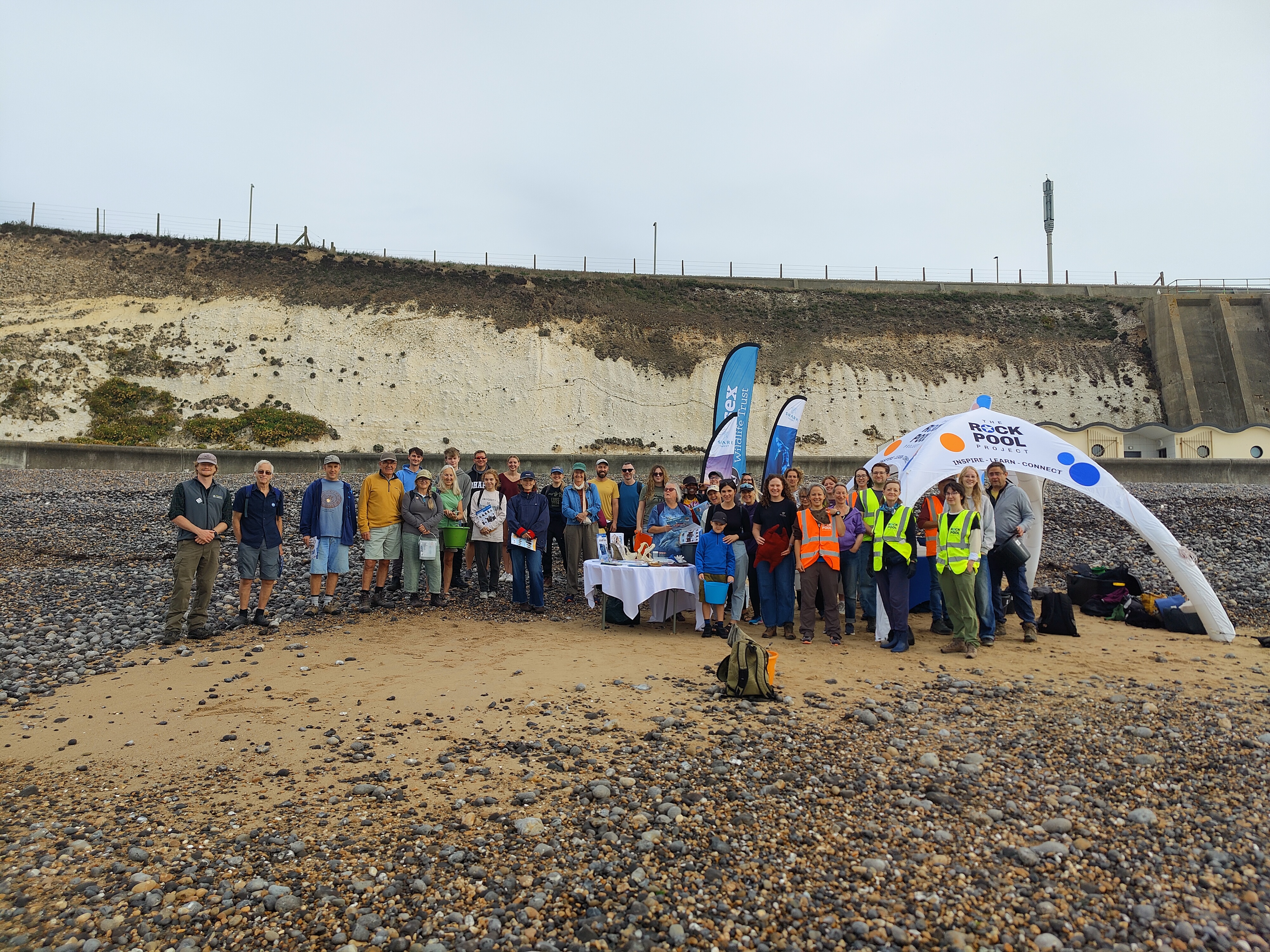 Rays of Tope – A Great Eggcase Hunt in West Sussex