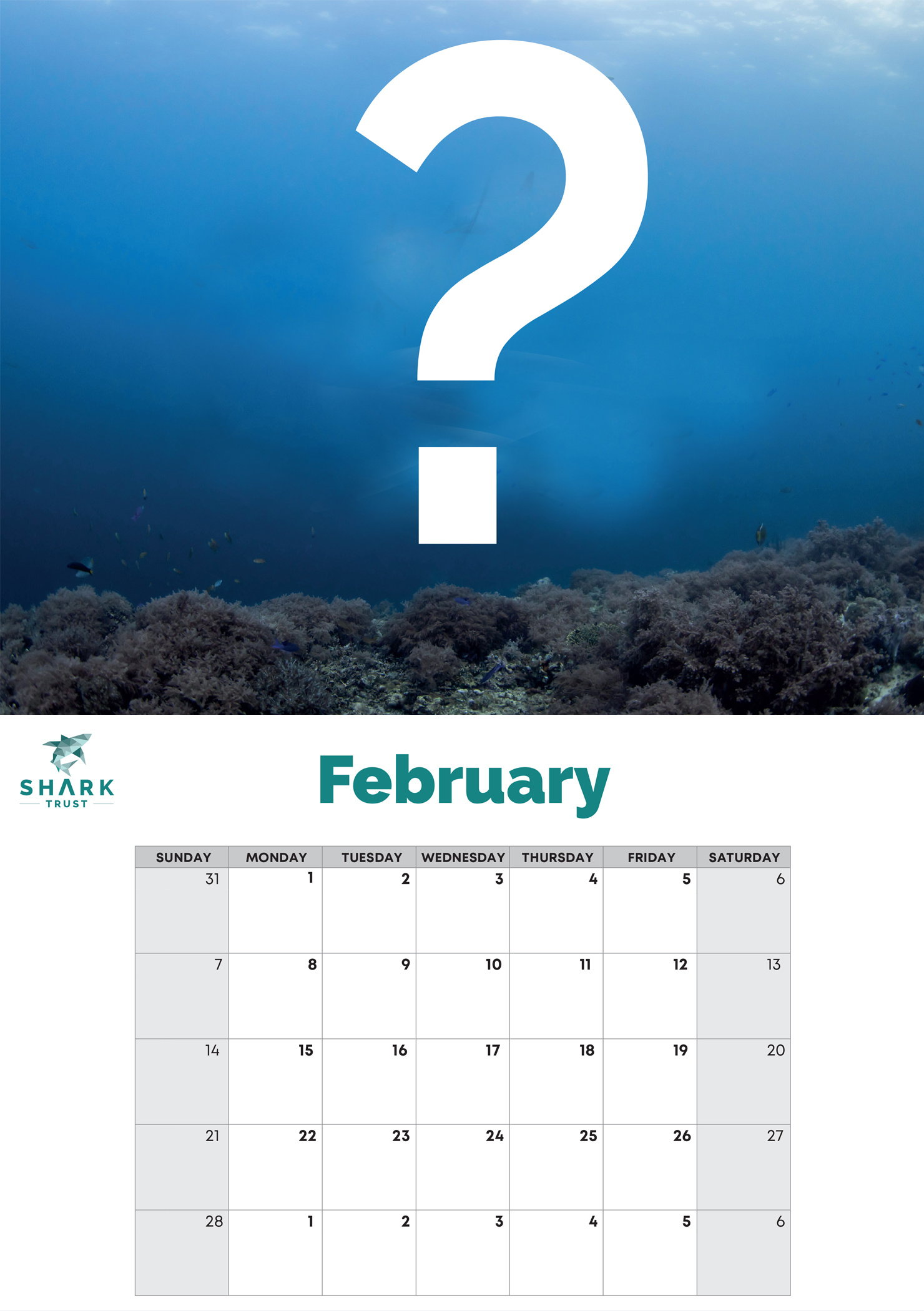 Shark Trust 2027 Calendar
