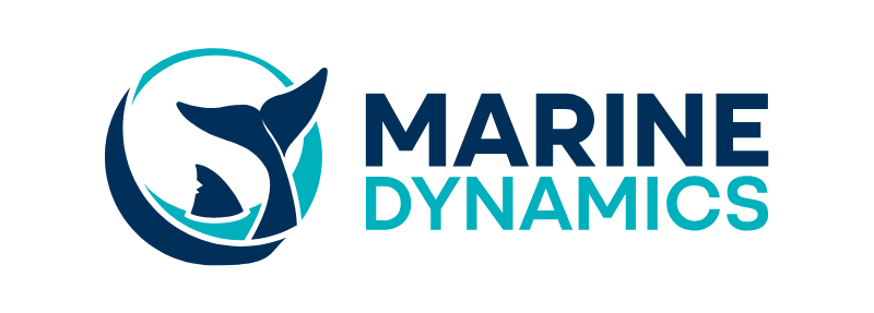 Marine Dynamics
